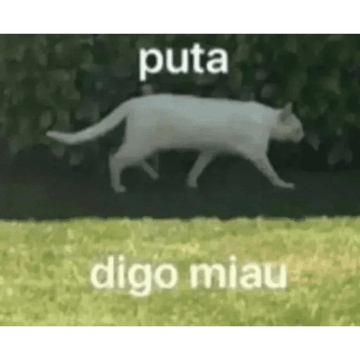 Figurinhas 26