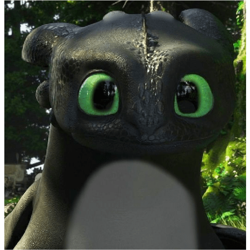 Ruffruner 