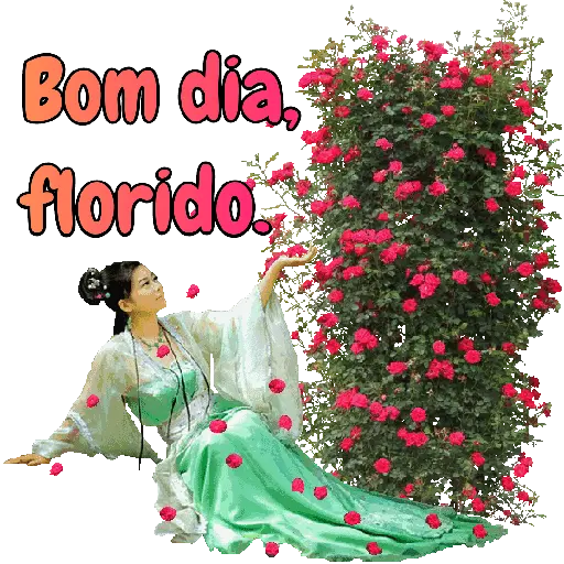 Coração  23