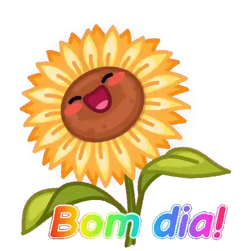 Coração  16