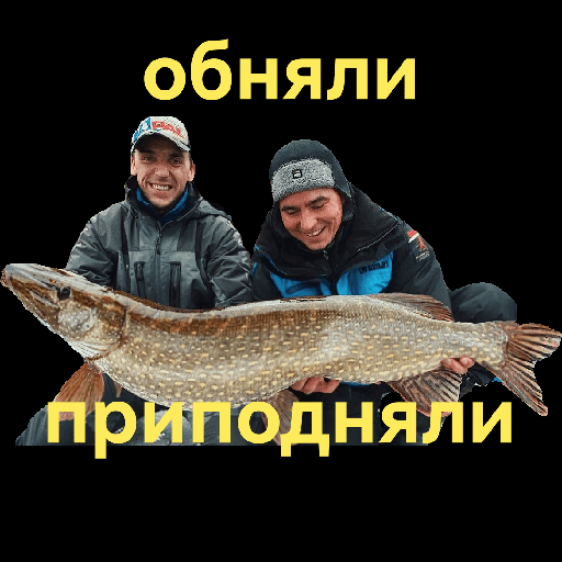 Мои стикеры