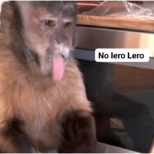 monky