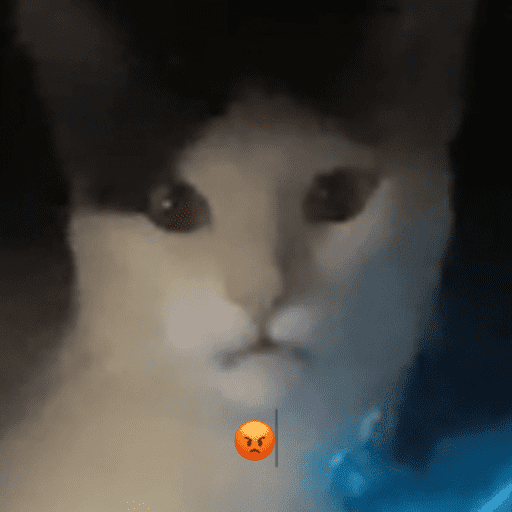 Eskibidiwow 2