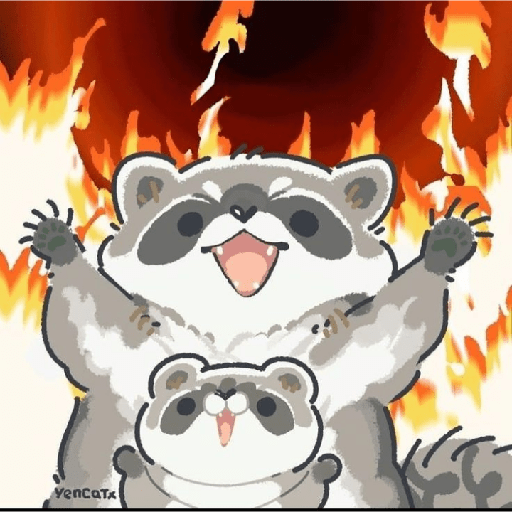 Mapaches 12