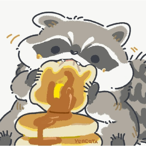 Mapaches 9