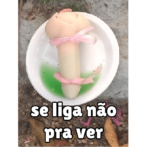 Anime 13
