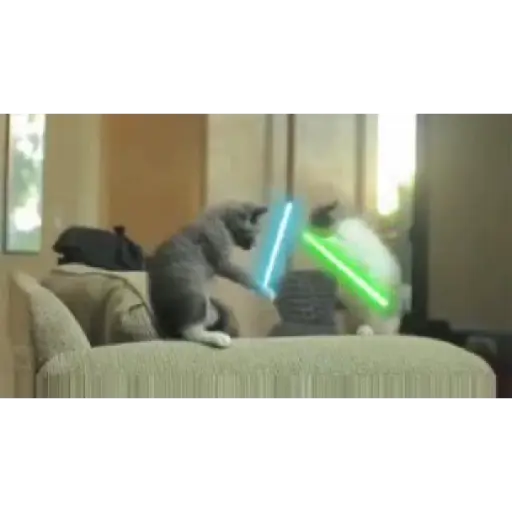 Gatos 2 2