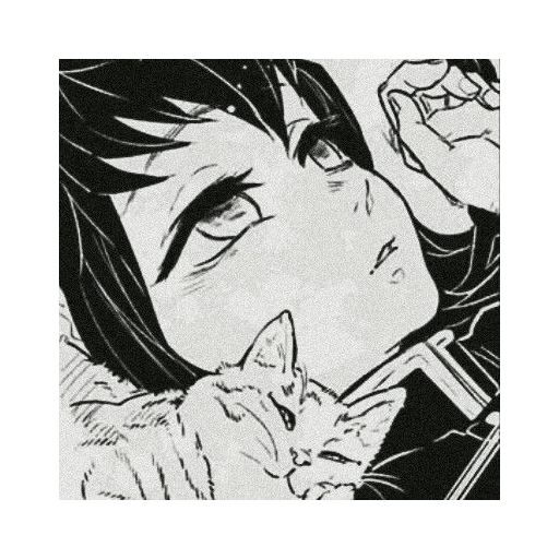 Tokito muichiro 12