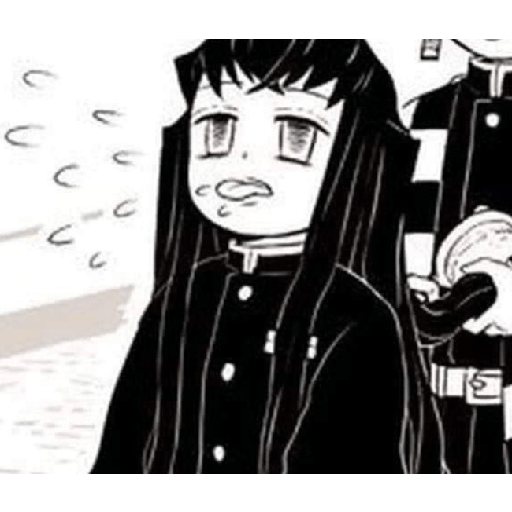 Tokito muichiro 14