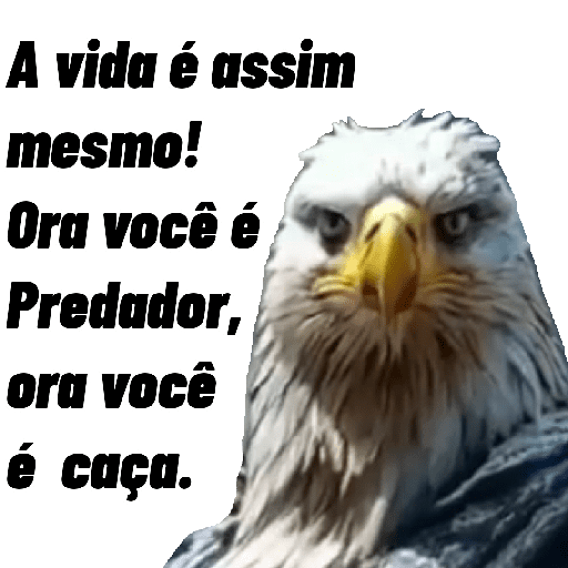 Imagens Variadas 3 9