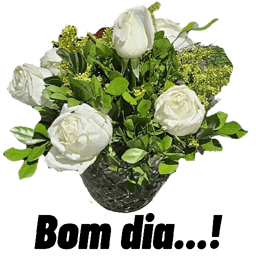 Imagens Variadas 3 21