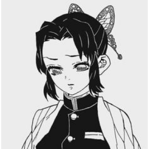 Demon slayer 16