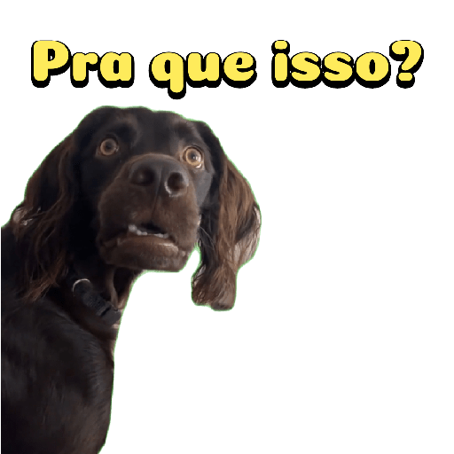 Cachorro preto 8