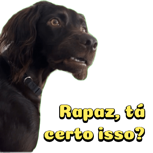 Cachorro preto 3