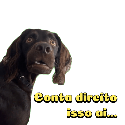 Cachorro preto 2