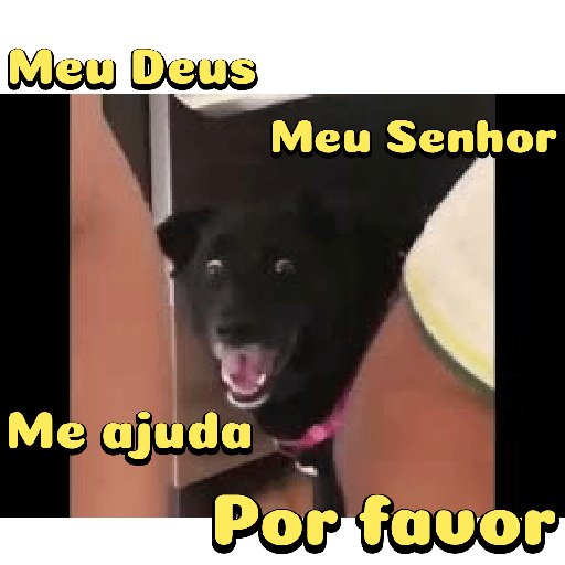 Cachorro preto 20