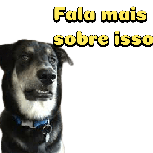 Cachorro preto 18