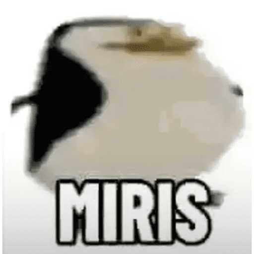Heheh 12