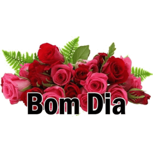 Bom Dia