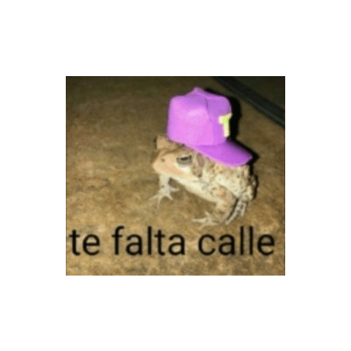 Memes divertidos 7