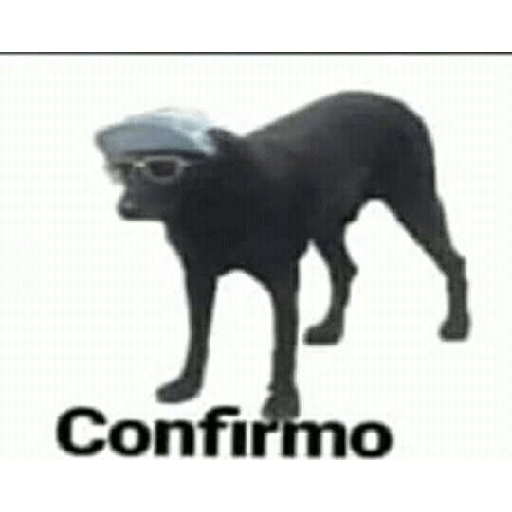 Memes divertidos 4