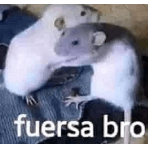 Memes divertidos 2