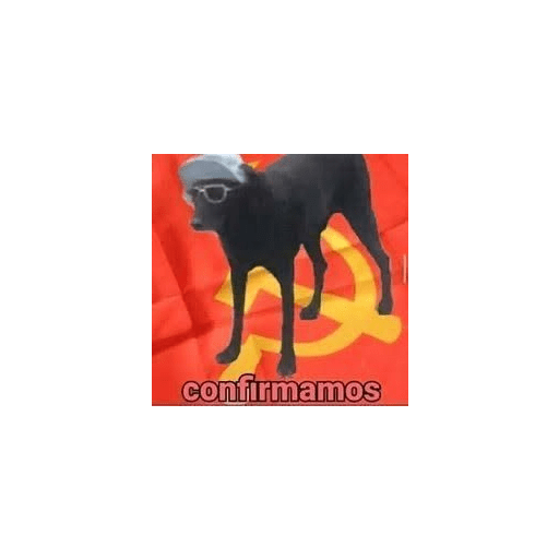 Memes divertidos 5