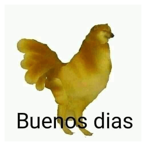 Memes divertidos 3