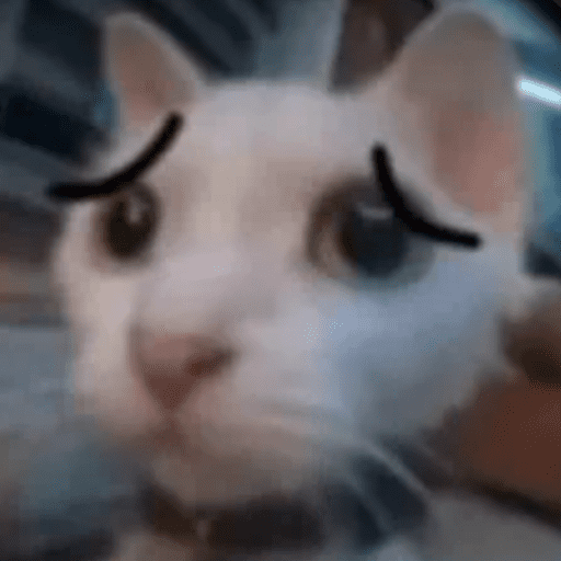 GatoPan 14