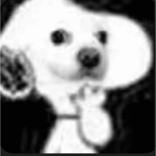 GatoPan 22