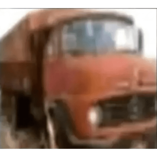 GatoPan 6