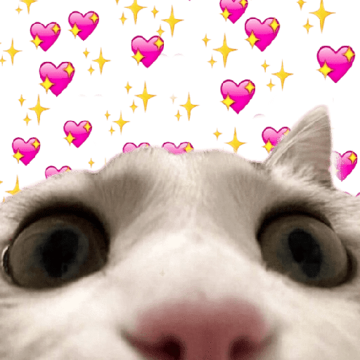 Memes De Michis 😻😹