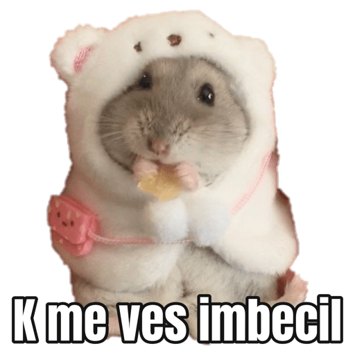 Featured image of post View 19 Stickers Memes De Hamster