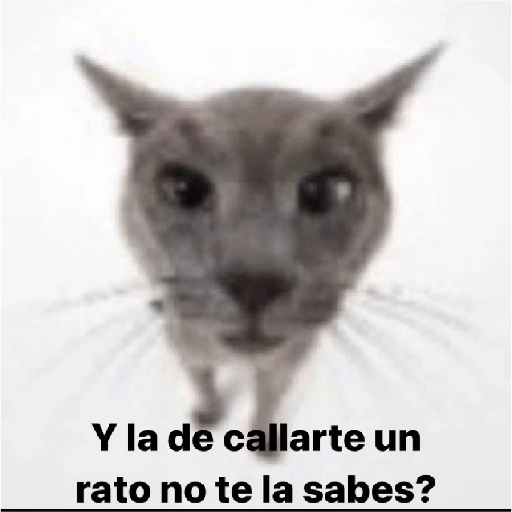 Chupelo 19