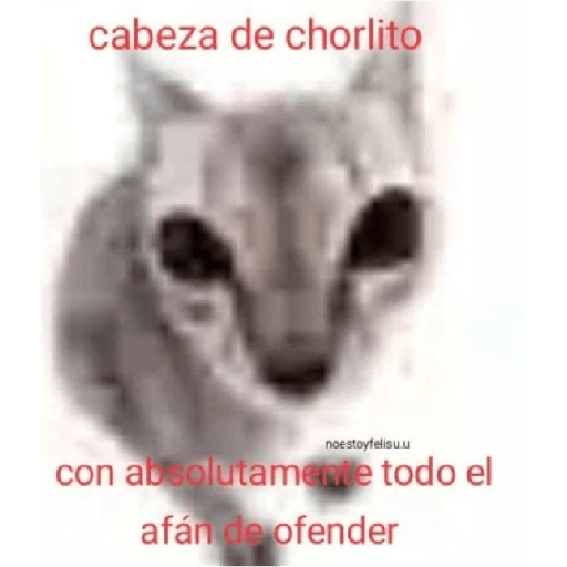 Chupelo 12