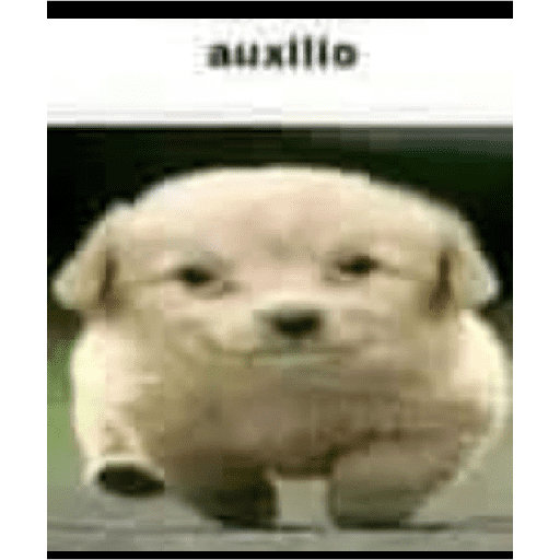Chupelo 24