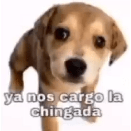 Chupelo 6