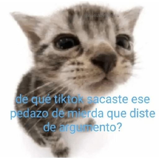 Chupelo 5