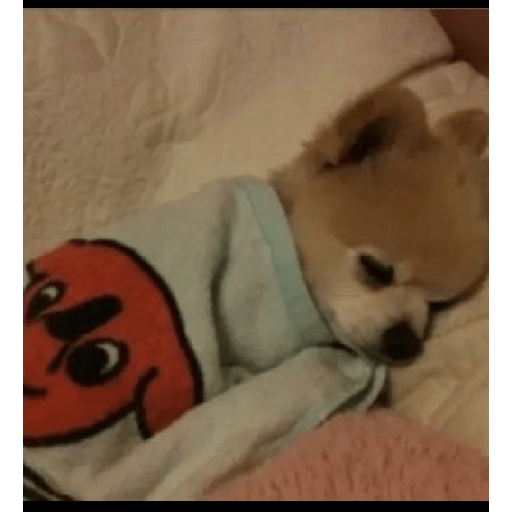Chupelo 9