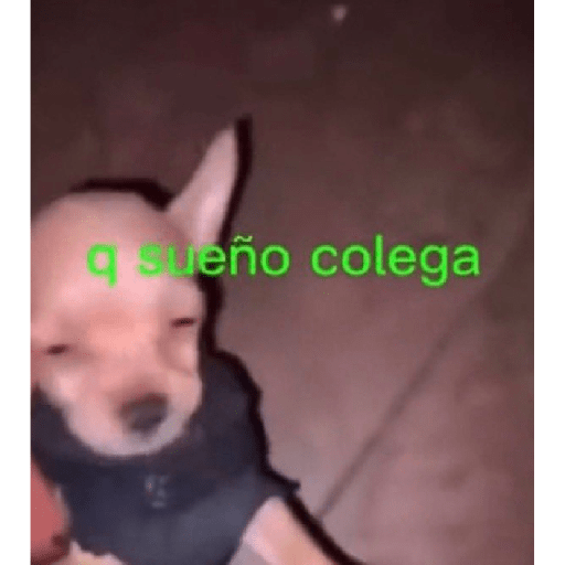 Chupelo 21