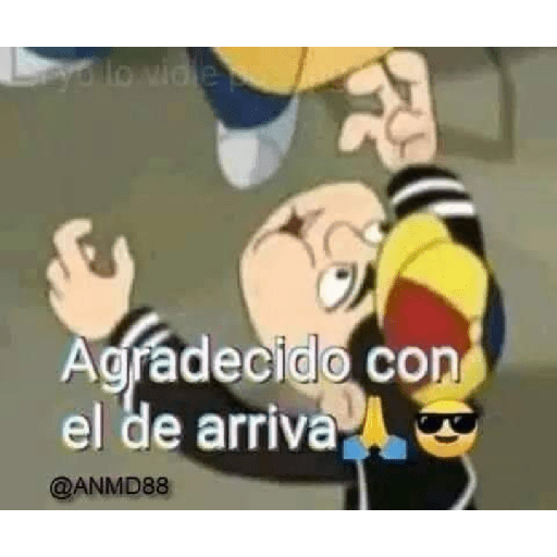 Zorro no te lo robes 16