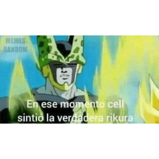 Zorro no te lo robes 11