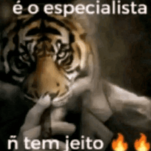 Shitpost (Aleatório 4) 9
