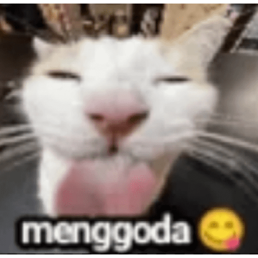 Meme absurd part 3 15