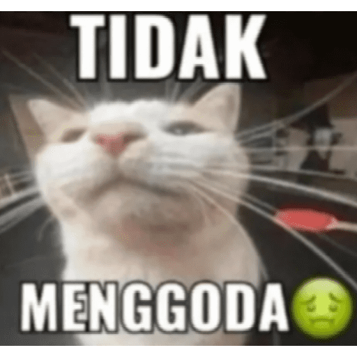 Meme absurd part 3 14