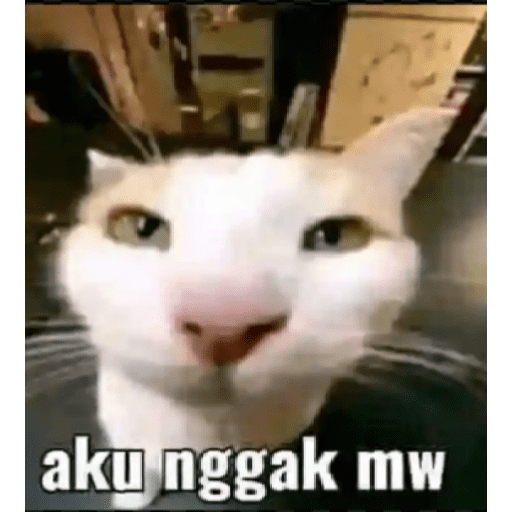 Meme absurd part 3 13