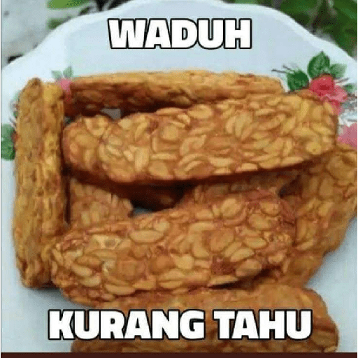 Meme absurd part6 16