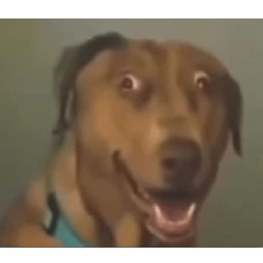 TP.. 13