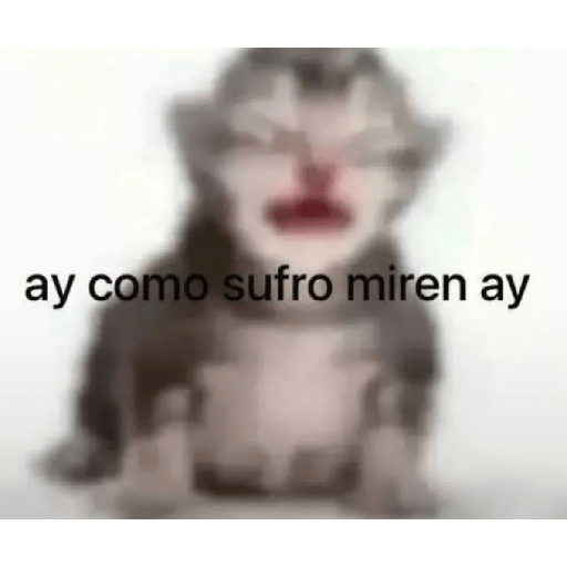 Shitpost 9