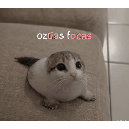 Shitpost 8